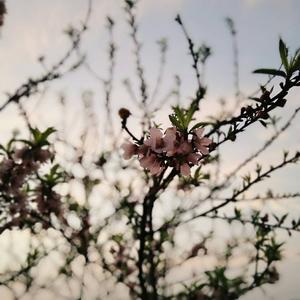 9191在线精品播放
